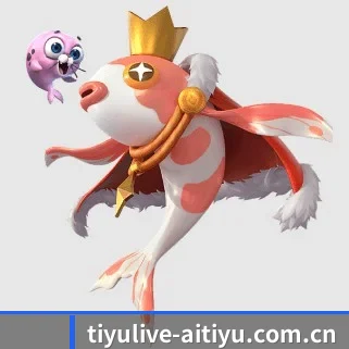从此观赛更有深度